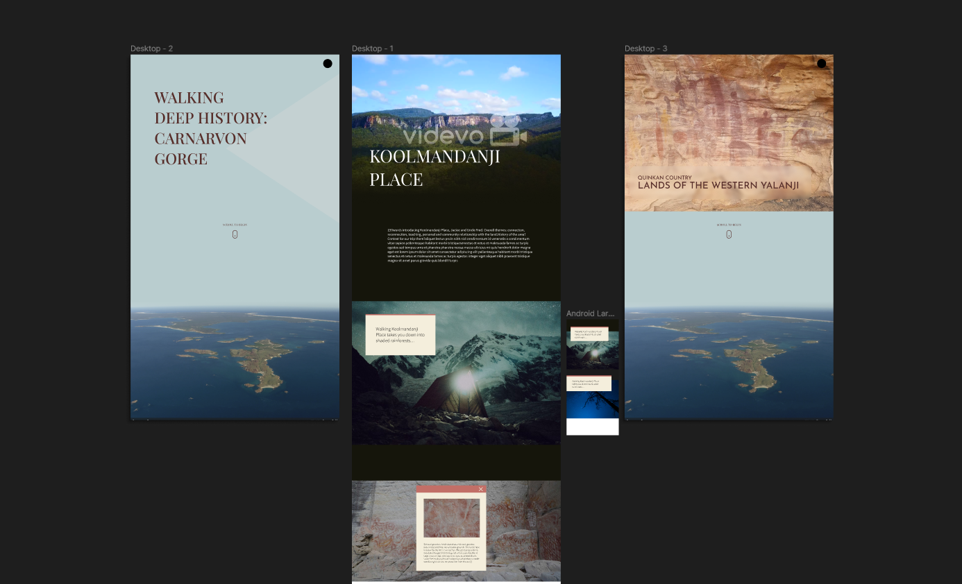 Look and feel mockups